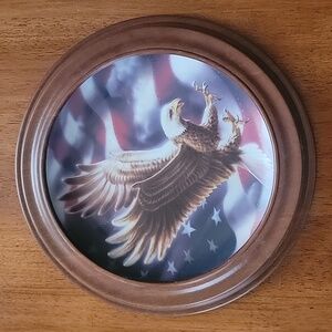 Vintage 1991 Franklin Mint Collector Plate ~ American Eagle